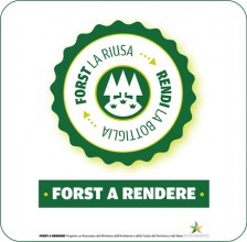 Tender of the Ministry of the Environment on carbon footprint on large consumption products.